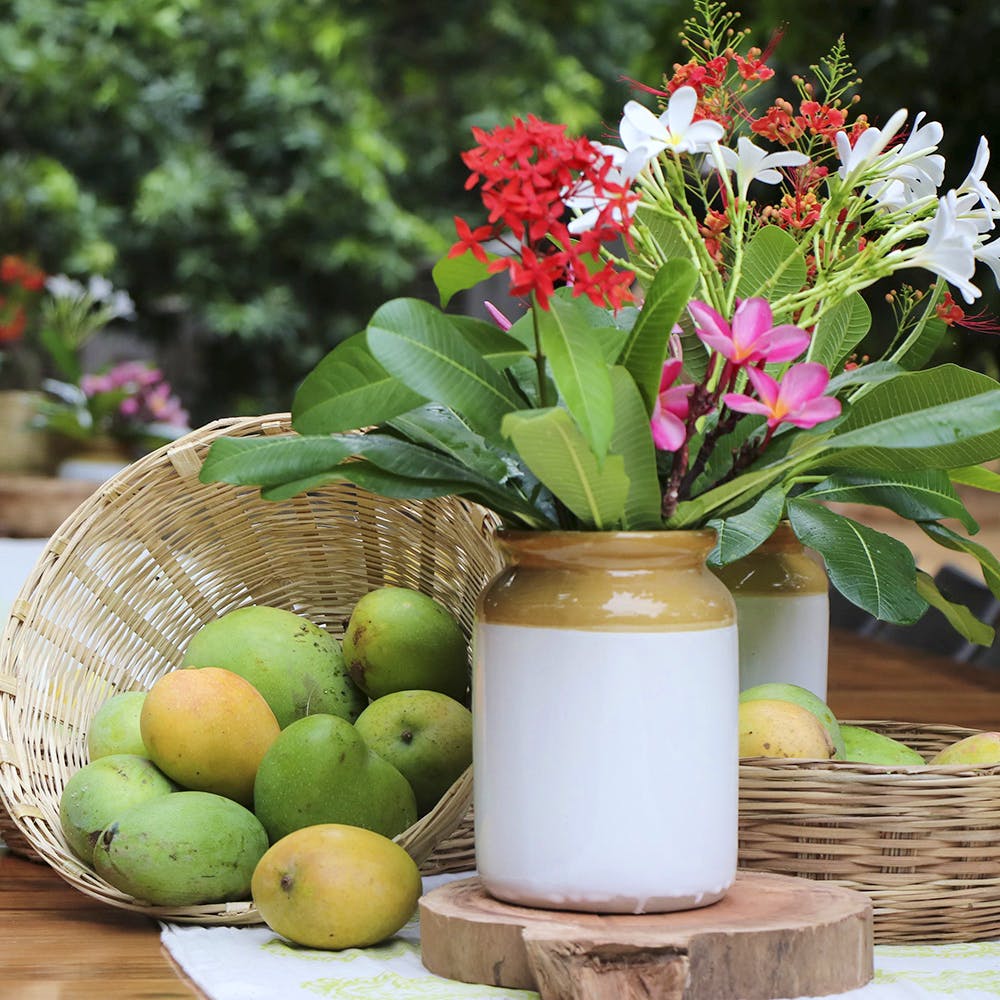 Flowerpot,Flower,Vase,Plant,Houseplant,Still life,Spring,Cut flowers,Table,Flowering plant