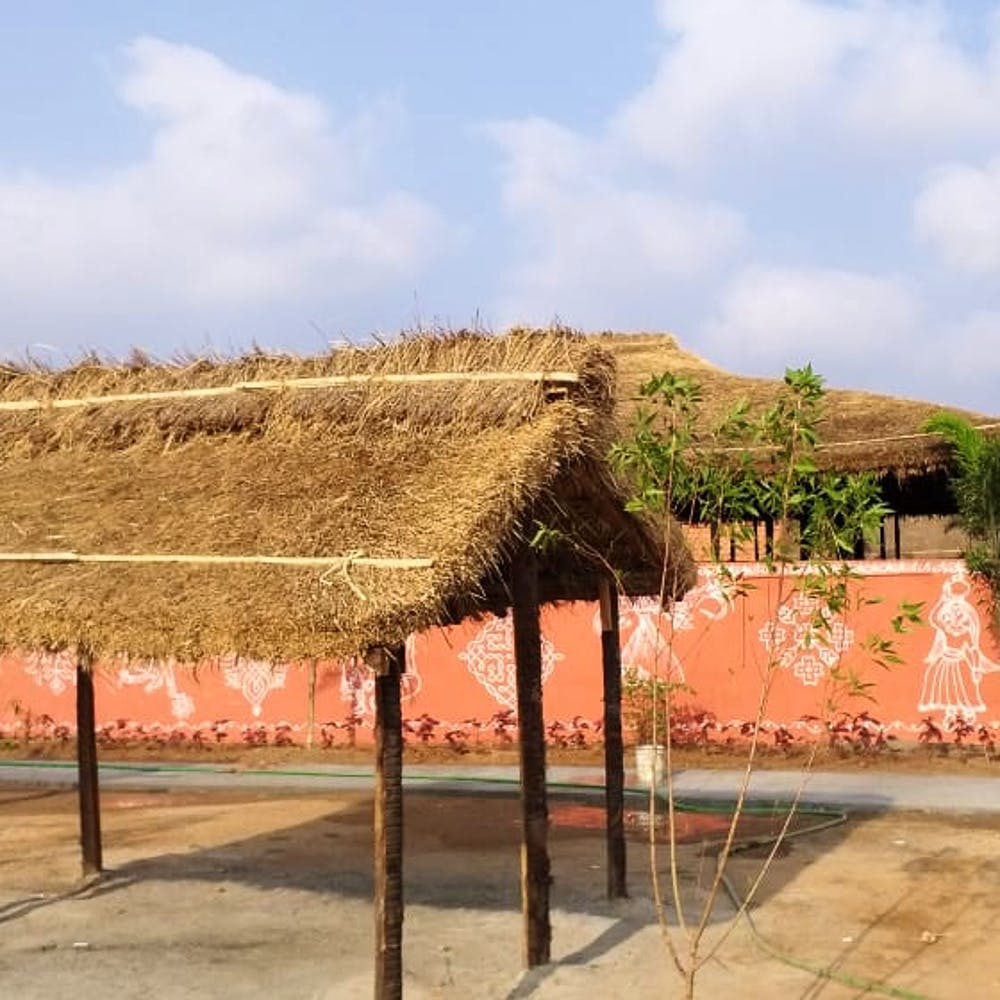 Thatching,Roof,Grass family,Straw,Rural area,Tree,House,Soil,Adaptation,Hut