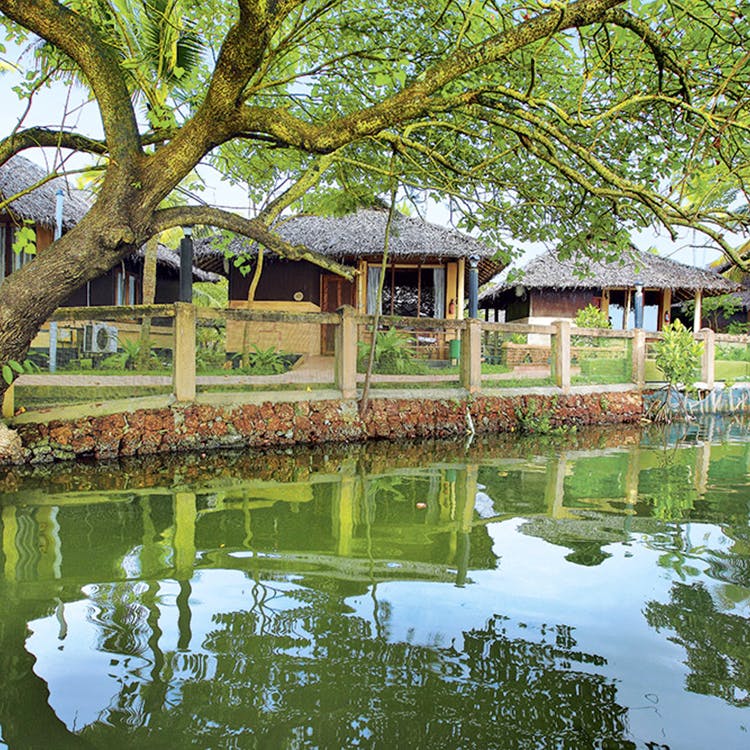 Reflection,Natural landscape,Pond,Tree,Bayou,Reflecting pool,Fish pond,Botany,House,Bank