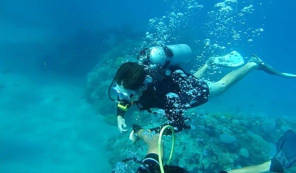 Scuba diving,Underwater diving,Snorkeling,Diving mask,Diving equipment,Divemaster,Underwater,Aquanaut,Water,Recreation