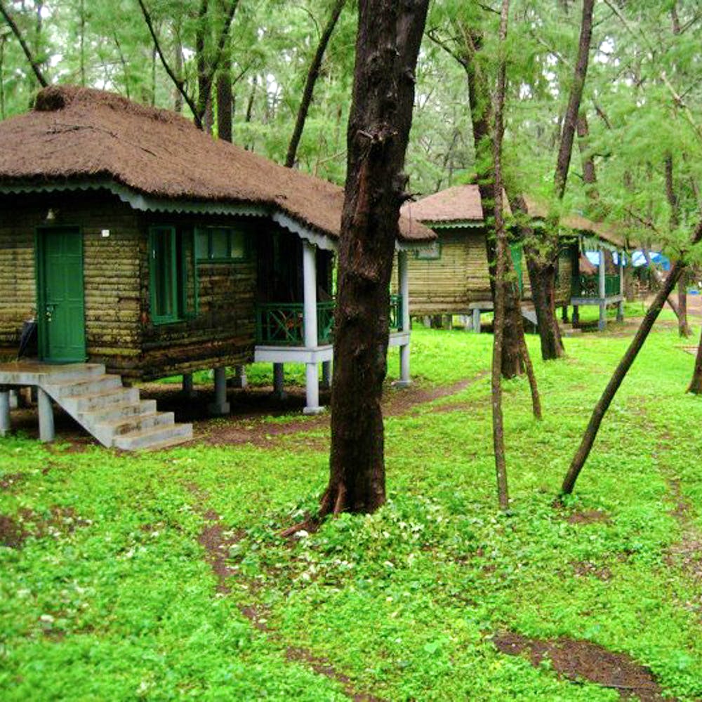 Green,Tree,Property,House,Nature reserve,Cottage,Grass,Woodland,Forest,Hut