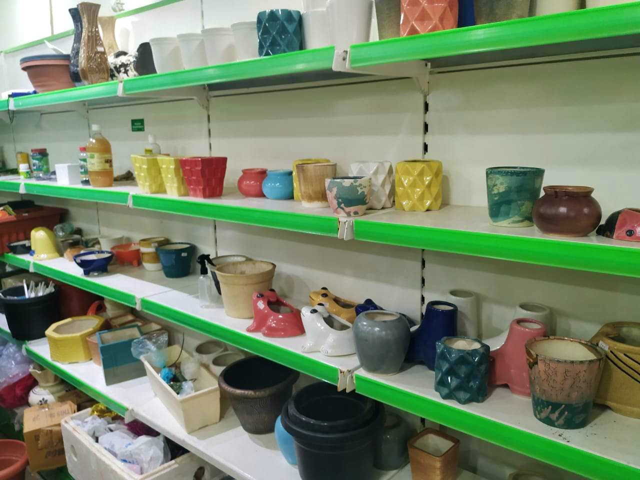 Shelf,Product,Room,Plastic,Grocery store,Furniture,Shelving,Building,Tableware,Pantry