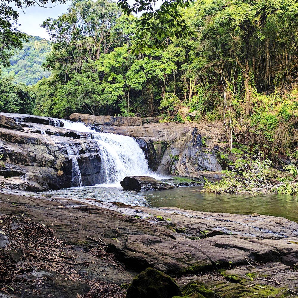 Waterfall,Body of water,Water resources,Natural landscape,Water,Nature,Vegetation,Nature reserve,Watercourse,Stream