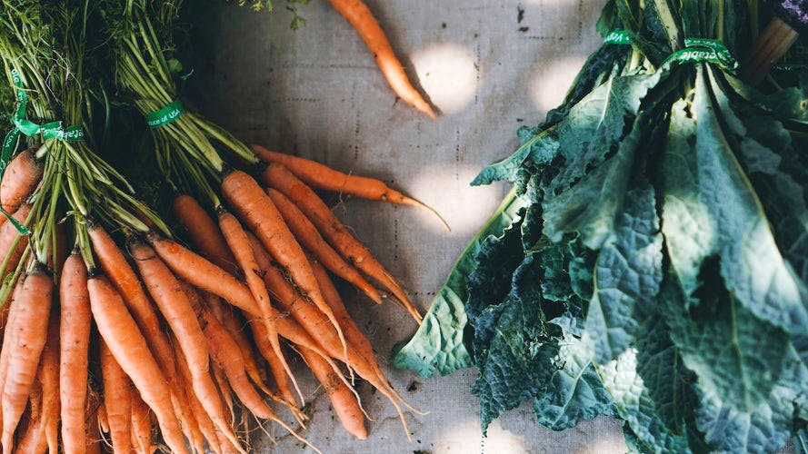 Carrot,Root vegetable,Vegetable,Baby carrot,Local food,Plant,Food,Root,wild carrot