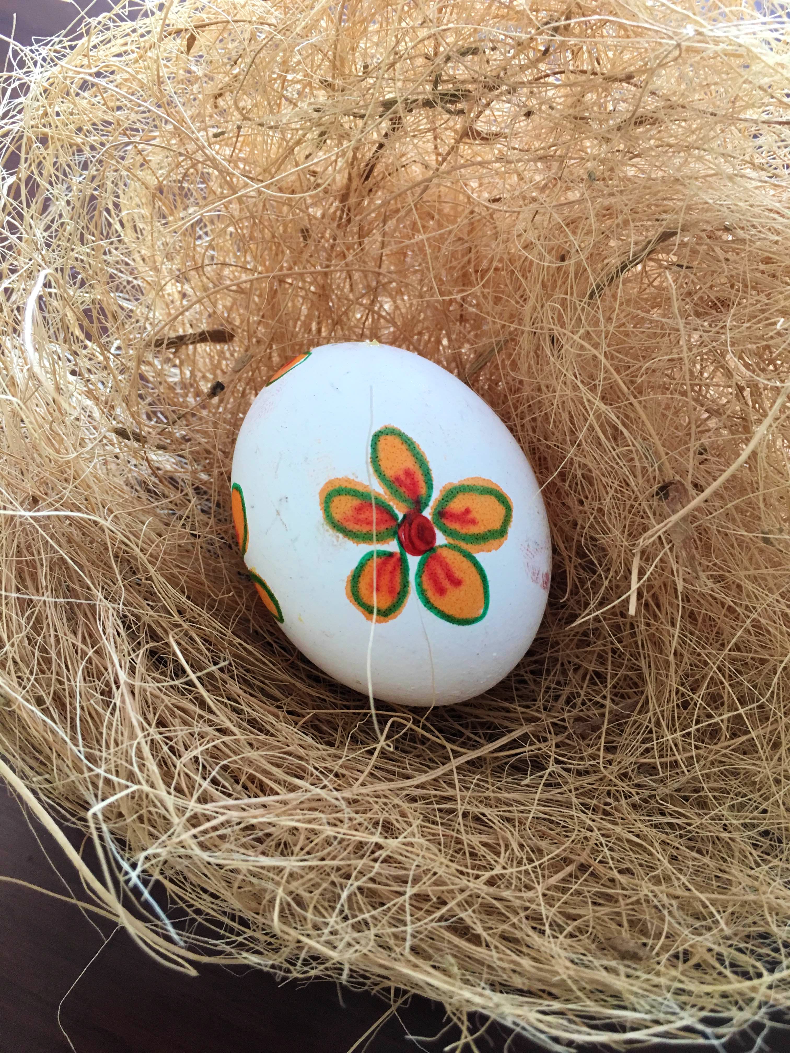 Egg,Easter egg,Bird nest,Nest,Plant,Egg