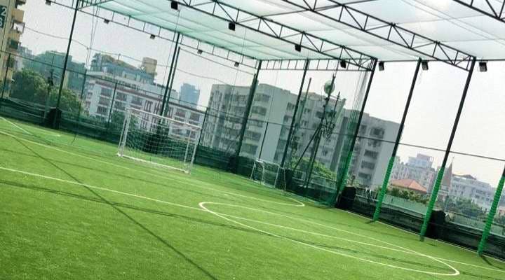 Sport venue,Grass,Stadium,Net,Artificial turf,Grass family,Soccer-specific stadium,Goal,Plant,Football