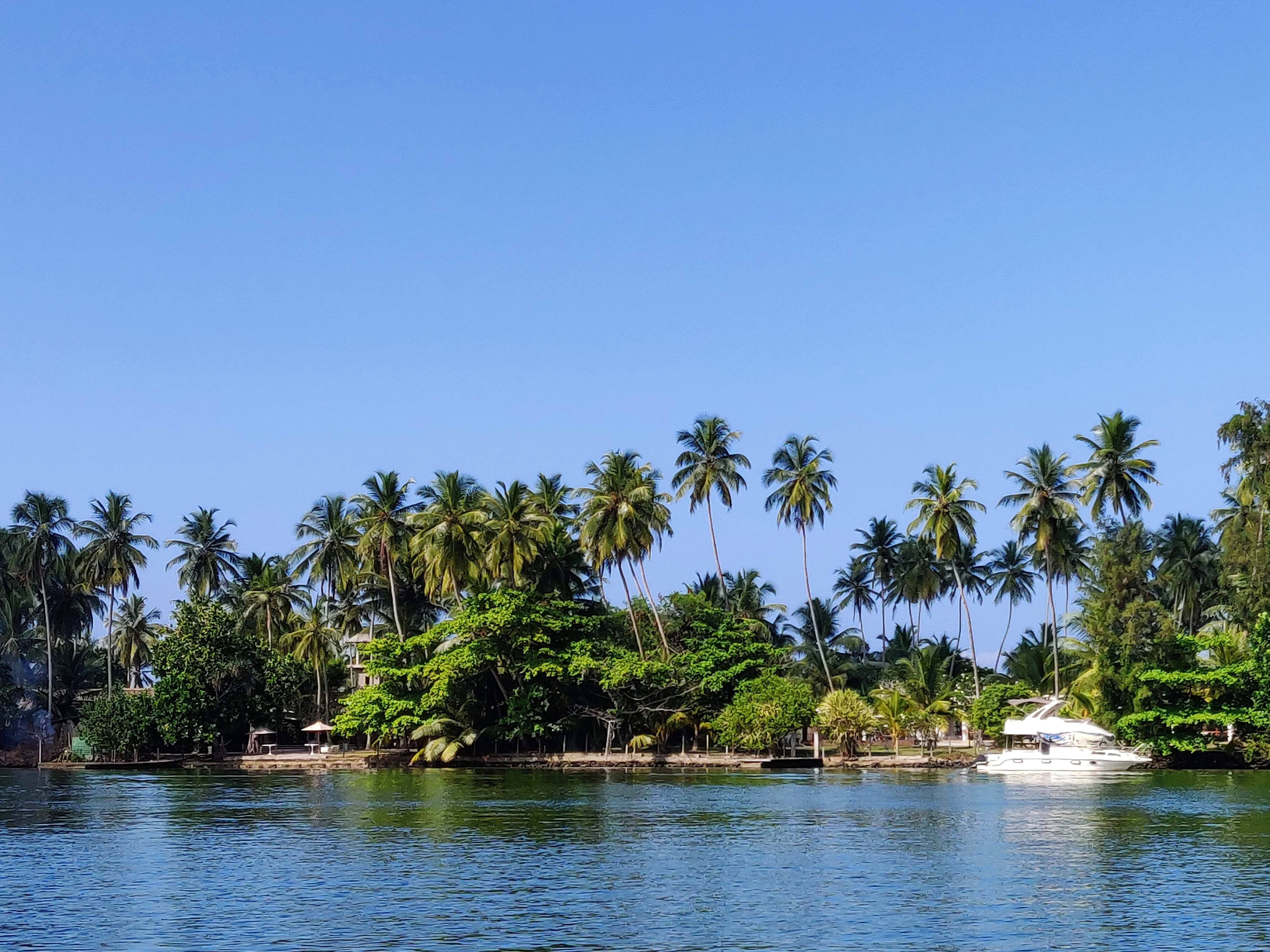 Body of water,Tree,Vegetation,Sky,Palm tree,Natural environment,Water resources,Waterway,River,Arecales