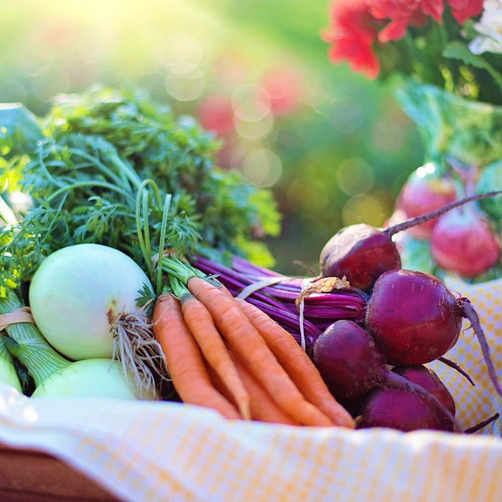 Natural foods,Radish,Vegetable,Local food,Food,Superfood,Beetroot,Turnip,Plant,Rutabaga