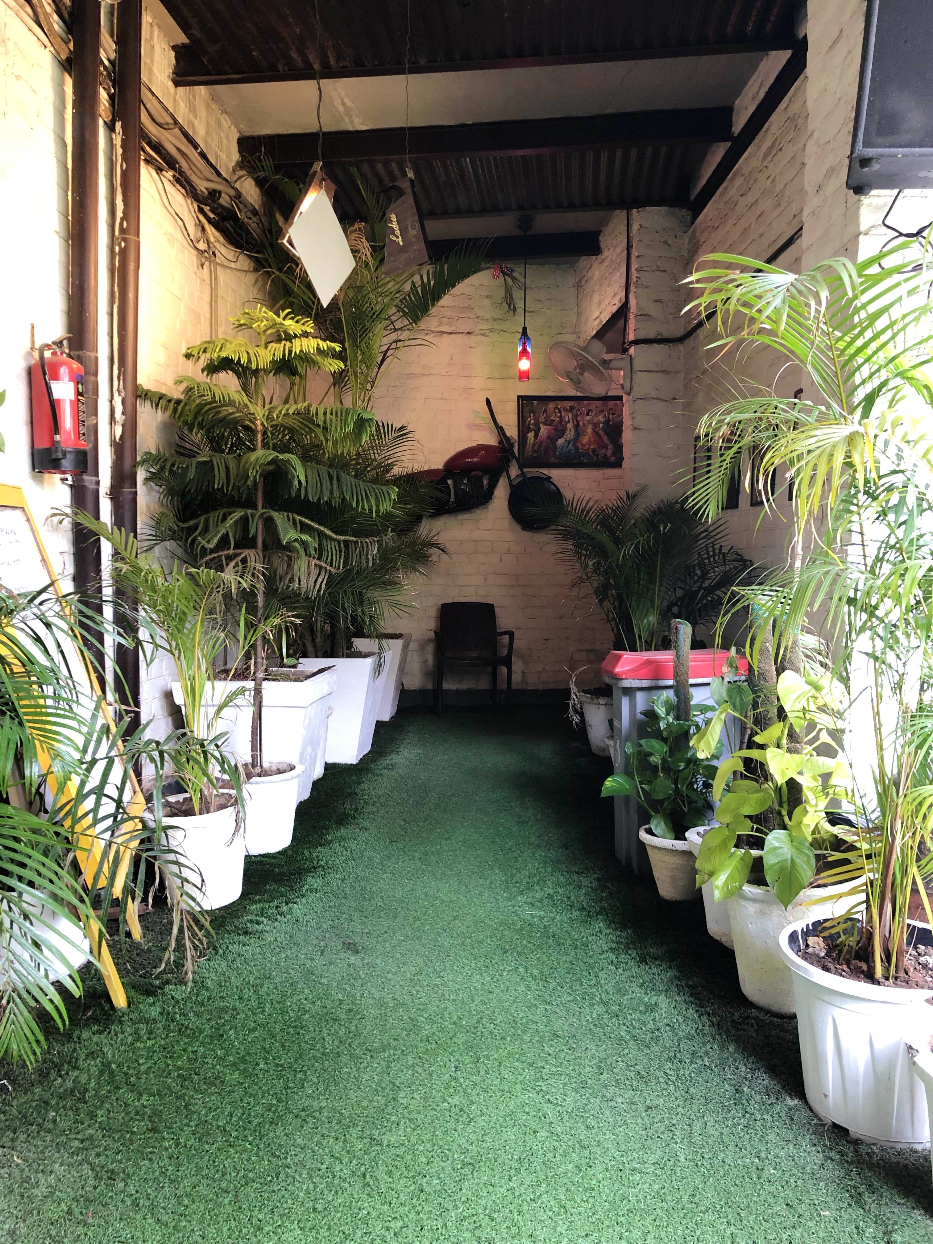 Building,Houseplant,Grass,Tree,Courtyard,House,Plant,Aisle,Garden,Flooring