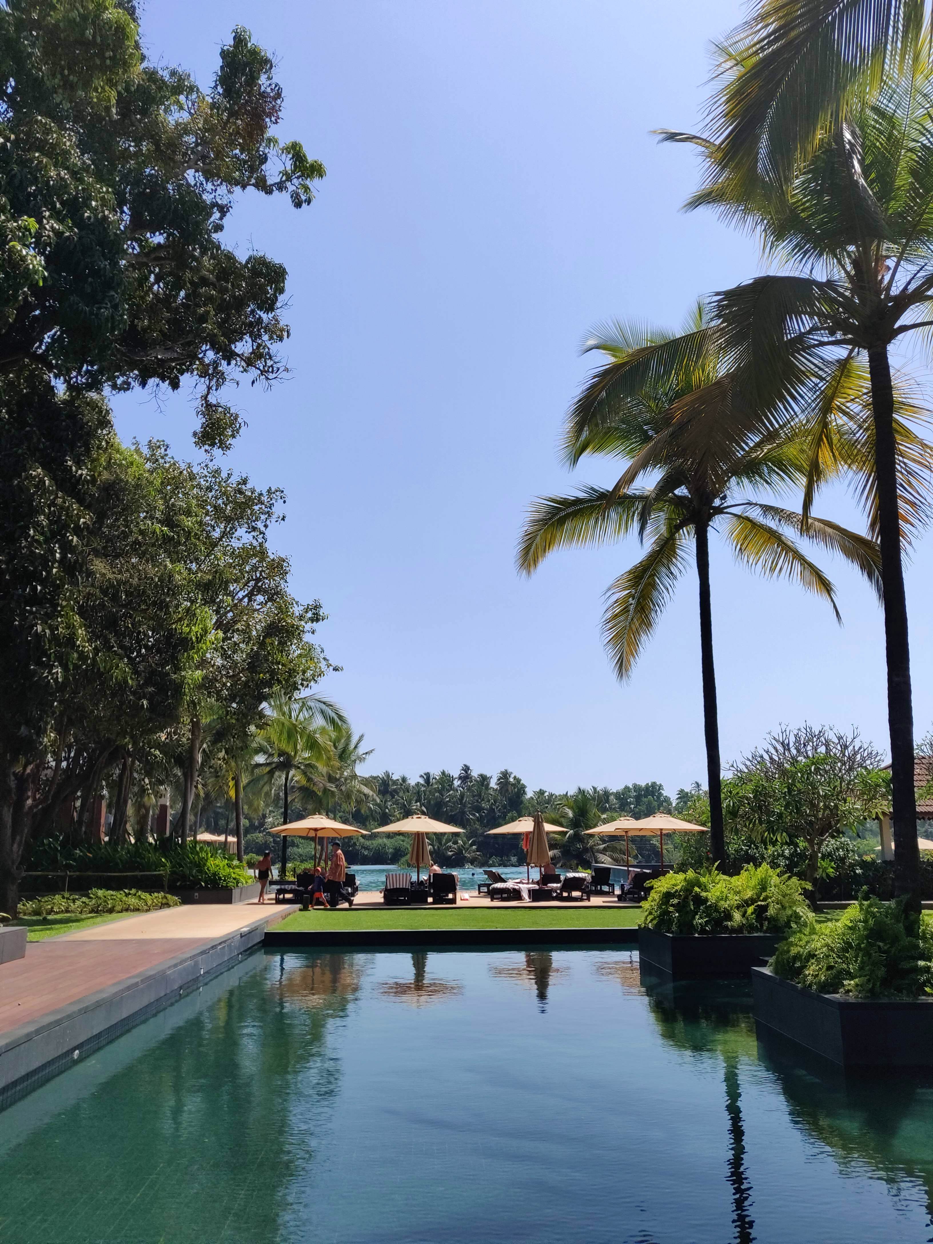 Swimming pool,Tree,Reflecting pool,Waterway,Resort,Sky,Palm tree,Botany,Vacation,Leisure