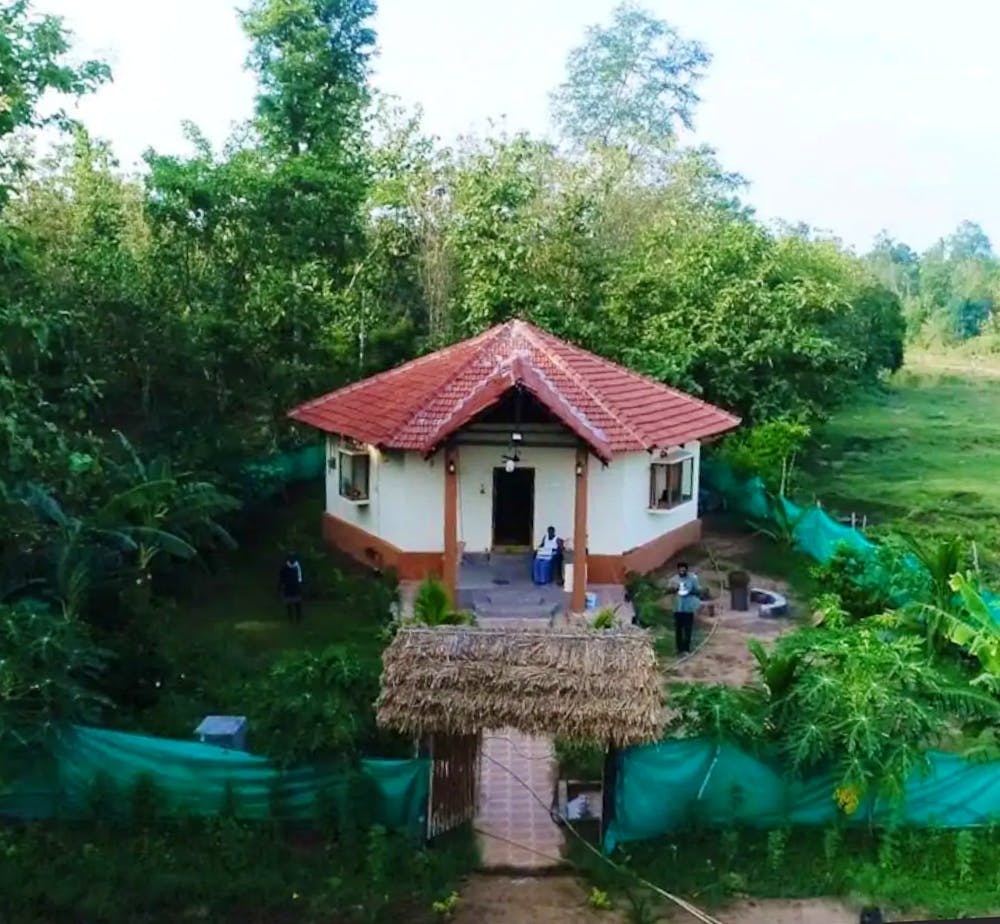 House,Property,Cottage,Green,Home,Natural landscape,Building,Rural area,Roof,Tree