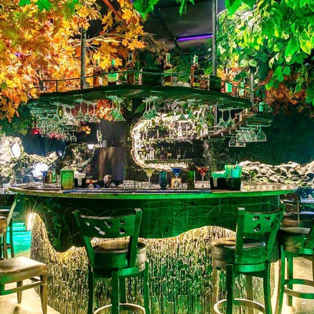 Green,Table,Tree,Plant,Furniture,Leisure,Garden,Landscaping,Houseplant,Patio