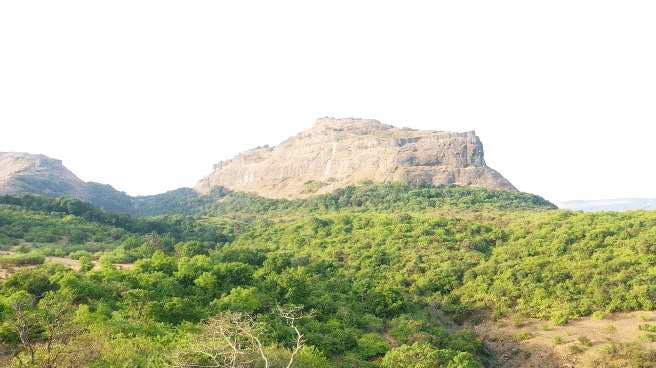 Mountainous landforms,Mountain,Vegetation,Hill station,Hill,Natural landscape,Nature reserve,Highland,Wilderness,Escarpment