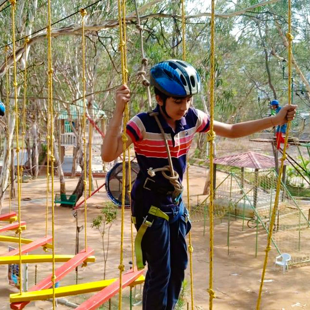 Recreation,Adventure,Rope,Tree,Climbing harness,Plant,Adventure racing