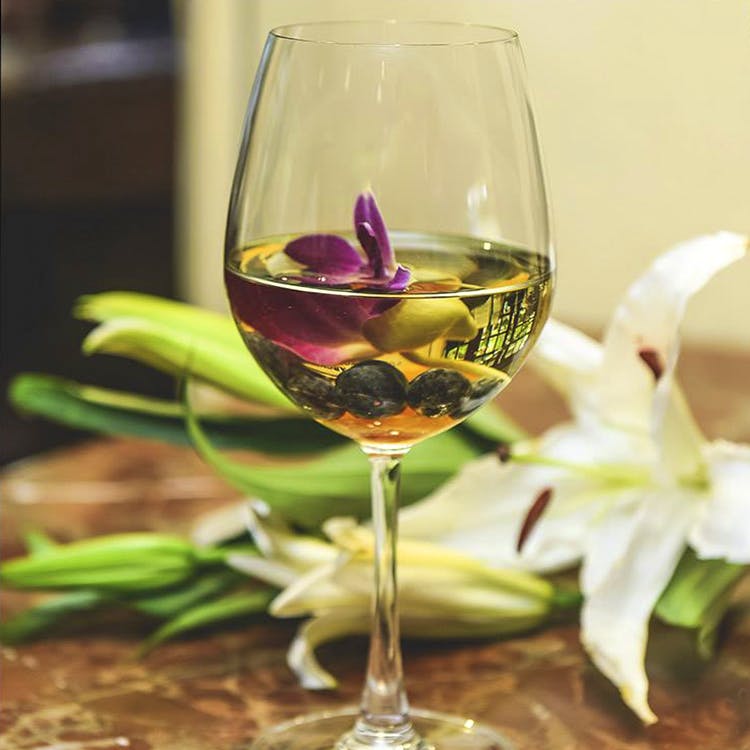 Stemware,Wine glass,Champagne stemware,Glass,Drinkware,Drink,Tableware,Wine,Flower,Plant