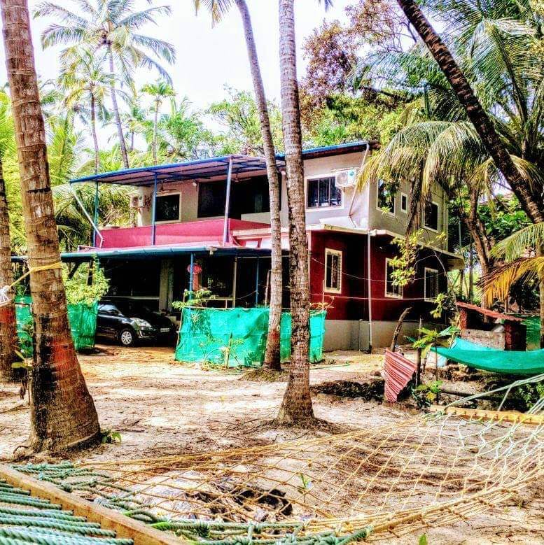 House,Property,Home,Tree,Shack,Building,Real estate,Jungle,Adaptation,Room
