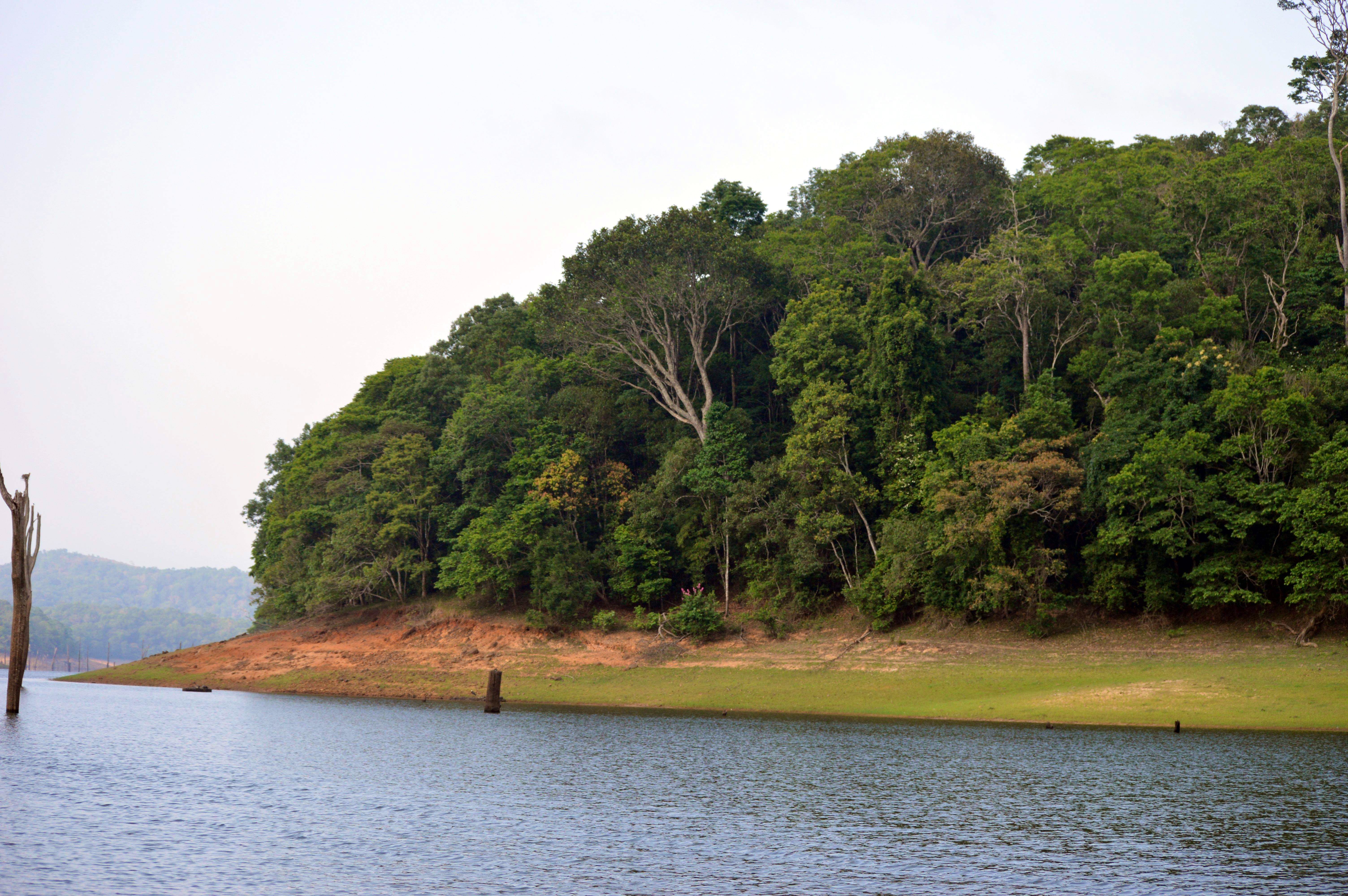 Body of water,Water,Nature,Water resources,River,Vegetation,Reservoir,Tree,Sky,Natural environment