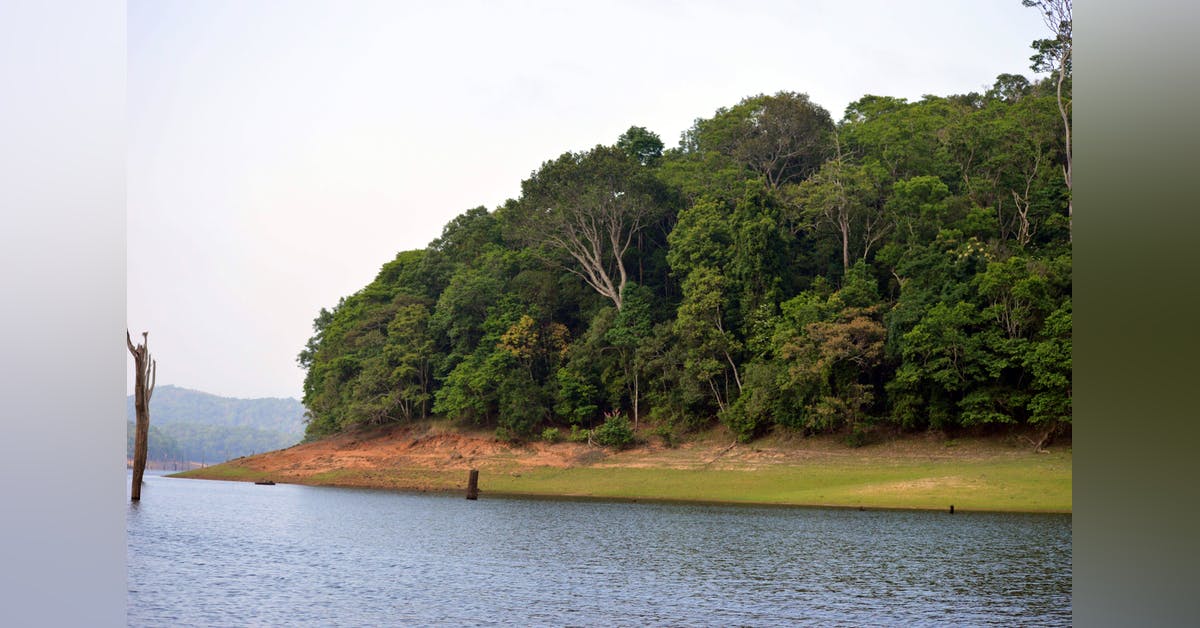 Mesmerising Thekkady - Periyar Tiger Reserve | LBB
