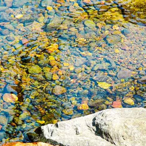 Water,Rock,Yellow,Pebble,Wall,Leaf,Reflection,Gravel,Geology,Watercourse