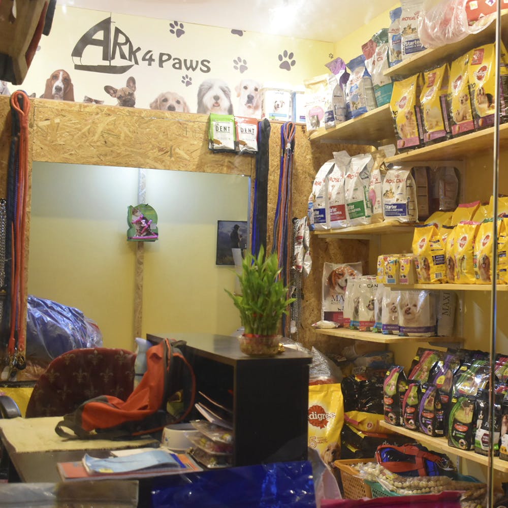 Pet shops near on sale here