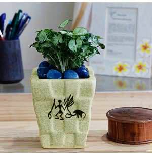 Flowerpot,Vase,Plant,Houseplant,Ceramic,Pottery,Flower,Herb,earthenware,Table
