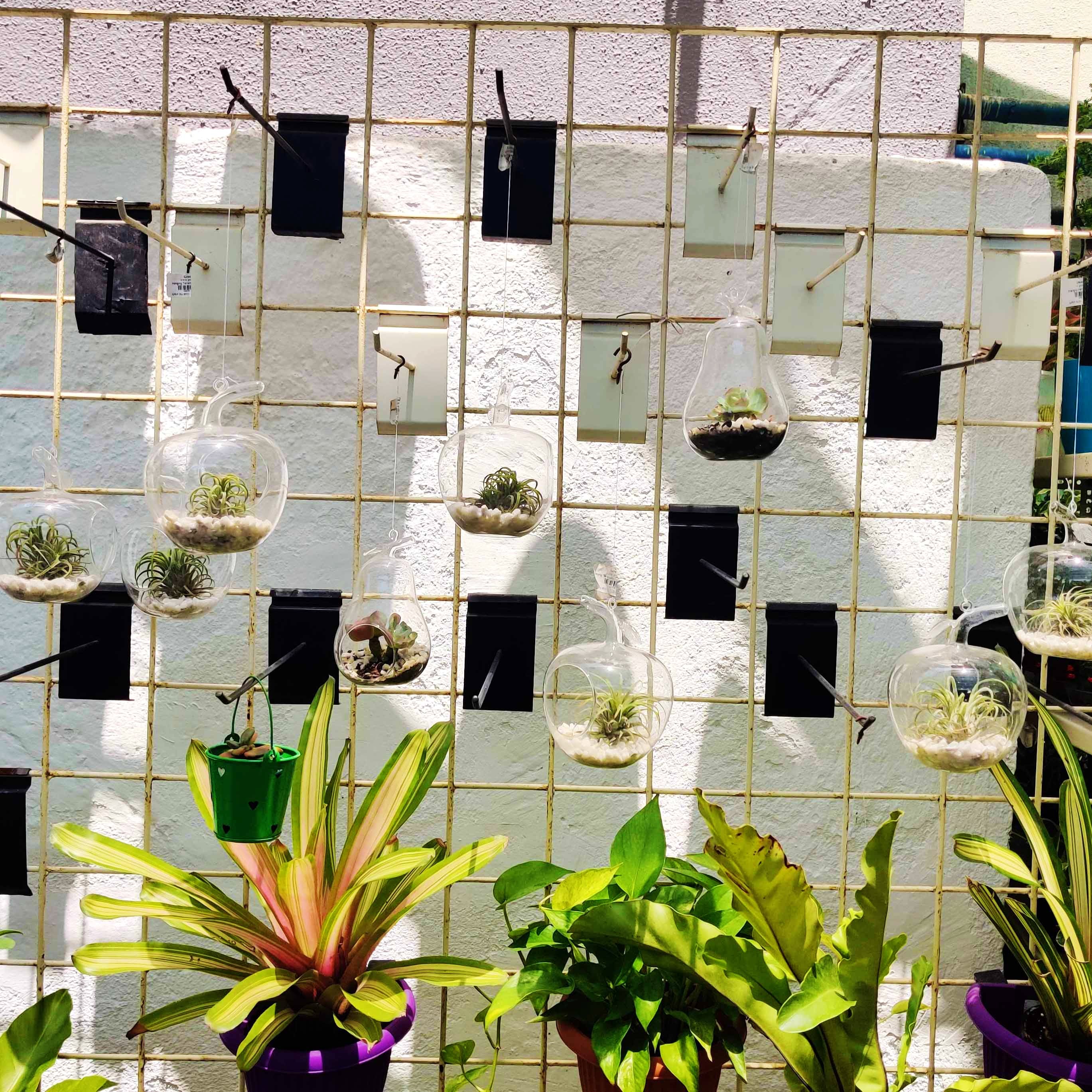 Wall,Tile,Flowerpot,Window,Flower,Glass,Plant,Architecture,Leaf,Design
