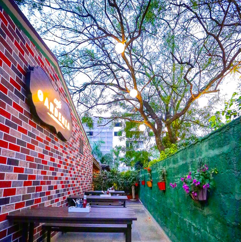 Green,Tree,Leaf,Architecture,Wall,Spring,Plant,Building,Flower,Brick