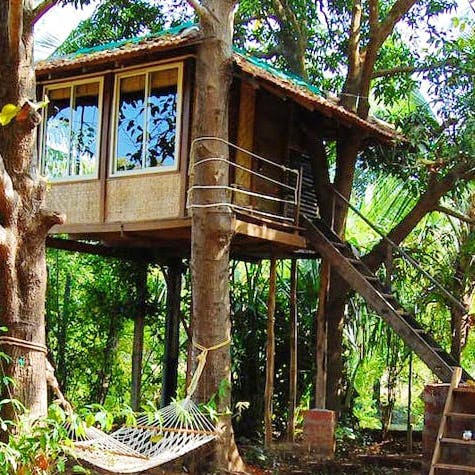 5 Best Tree House Resorts Near Mumbai I Lbb Mumbai