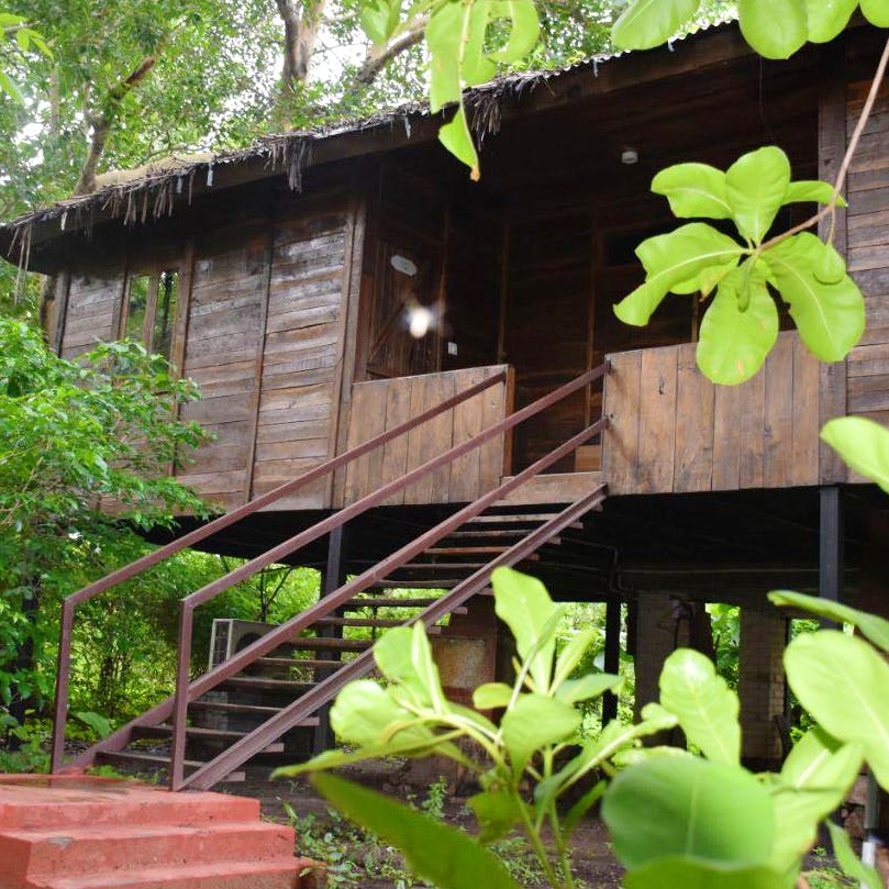 Best Tree House Resorts Near Mumbai I Lbb Mumbai