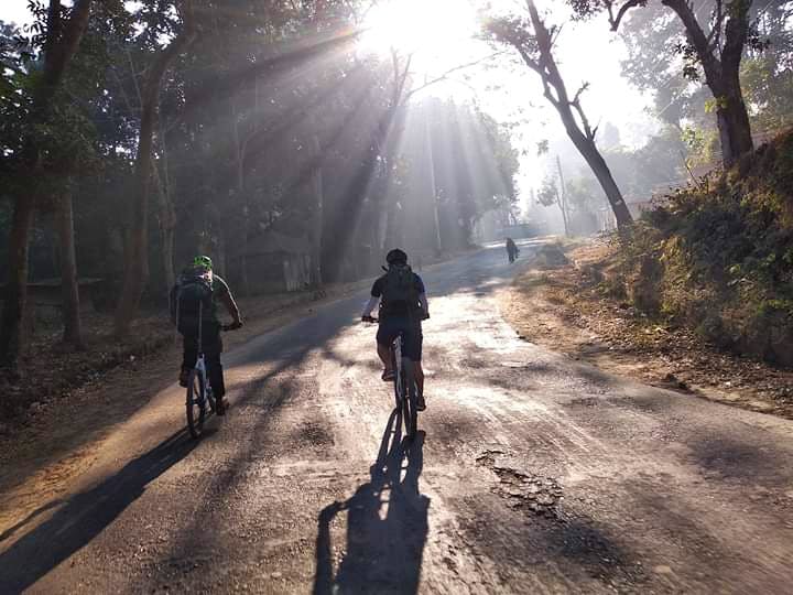 Atmospheric phenomenon,Sunlight,Tree,Morning,Road,Shadow,Thoroughfare,Cycling,Recreation,Trail