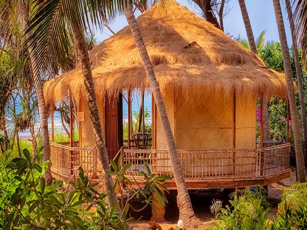 Hut,Thatching,Shack,Jungle,Tree,Cottage,House,Eco hotel,Building,Palm tree