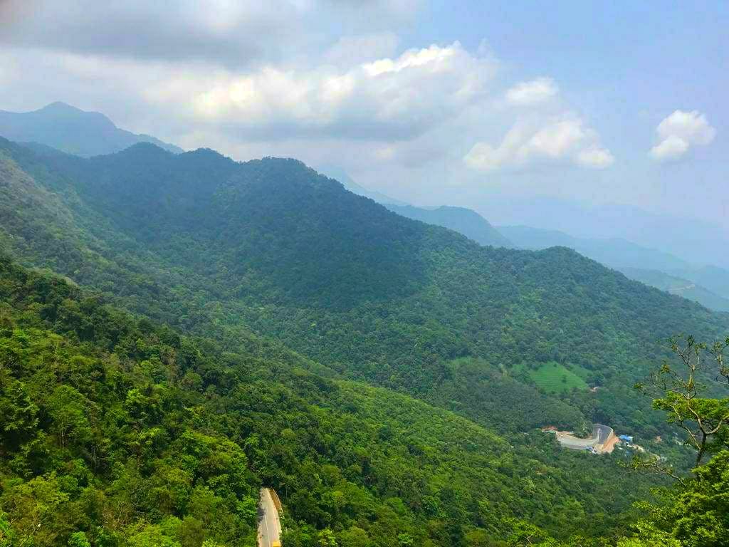 Mountainous landforms,Hill station,Highland,Mountain,Vegetation,Hill,Ridge,Nature reserve,Natural landscape,Mount scenery