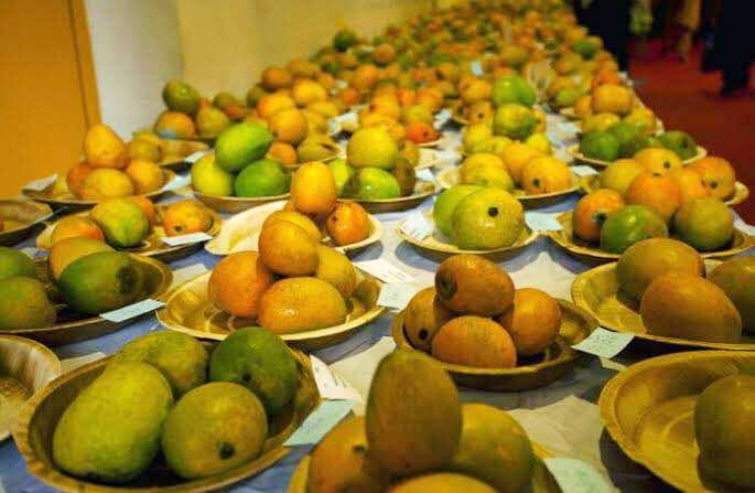 Natural foods,Fruit,Food,Plant,Local food,Produce,Mango,Fruit tree,Sapodilla family,Ugli fruit