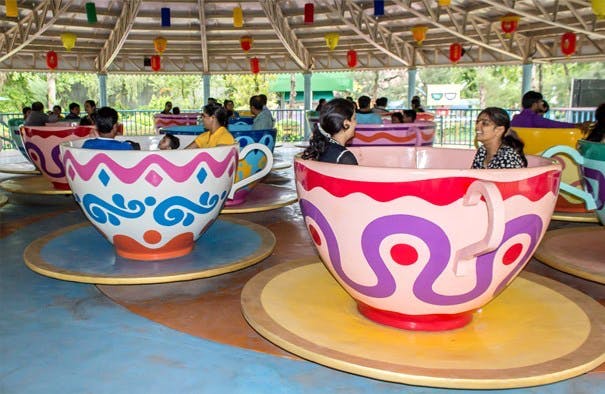 Teacup,Cup,Amusement ride,Amusement park,Tableware,Ceramic,Cup,Drinkware,Bowl,Serveware