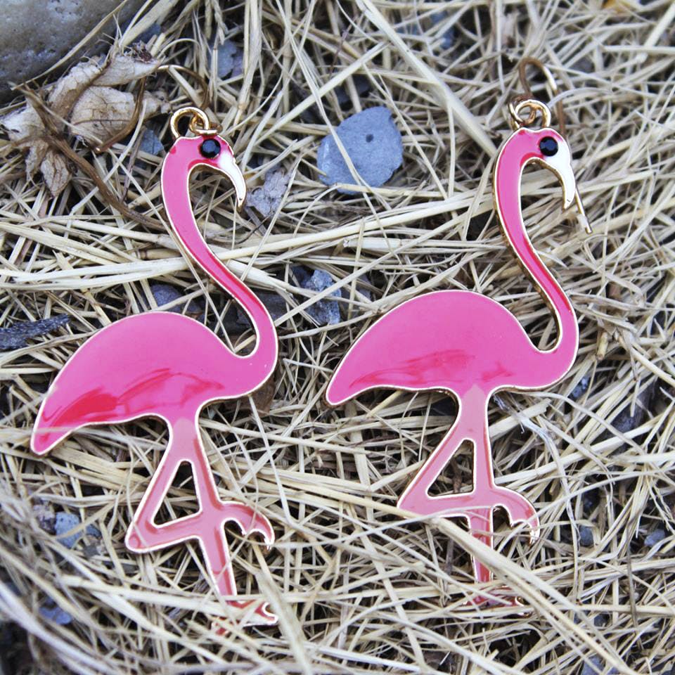 Bird,Greater flamingo,Flamingo,Pink,Water bird,Beak,Neck,Organism,Magenta,Plant