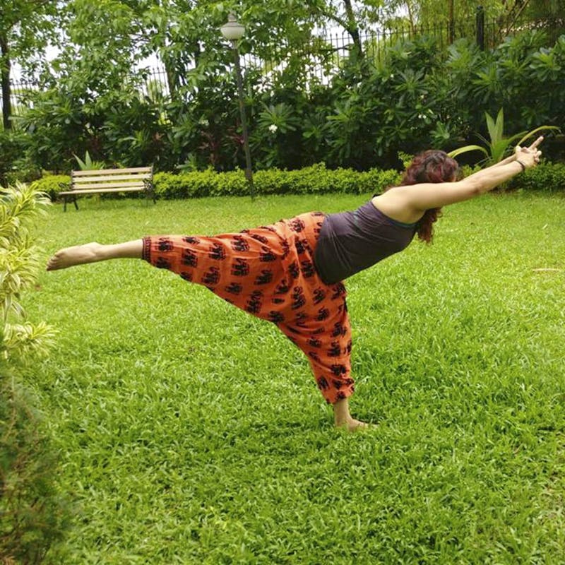 Grass,Leaf,Giraffe,Leg,Tree,Hand,Plant,Stretching,Meadow,Grassland