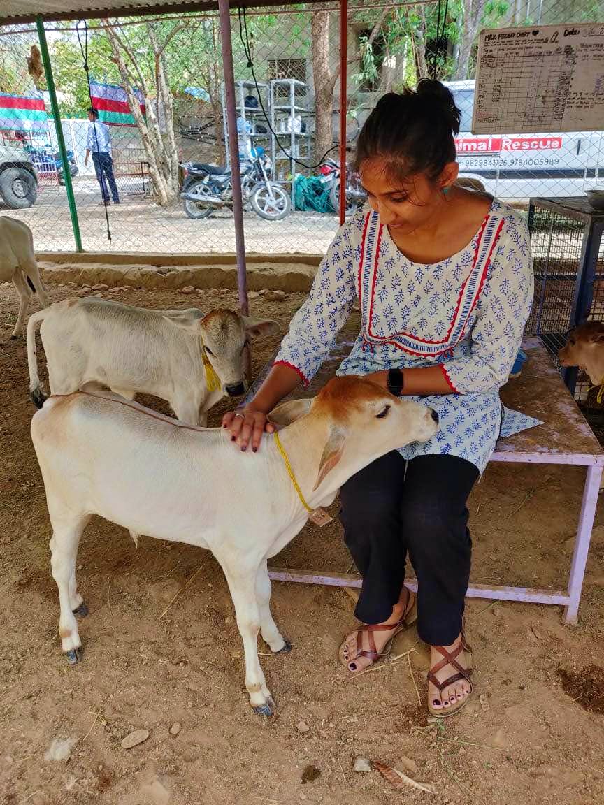 Spread Some Love And Kindness By Volunteering At Animal Aid In Udaipur | LBB