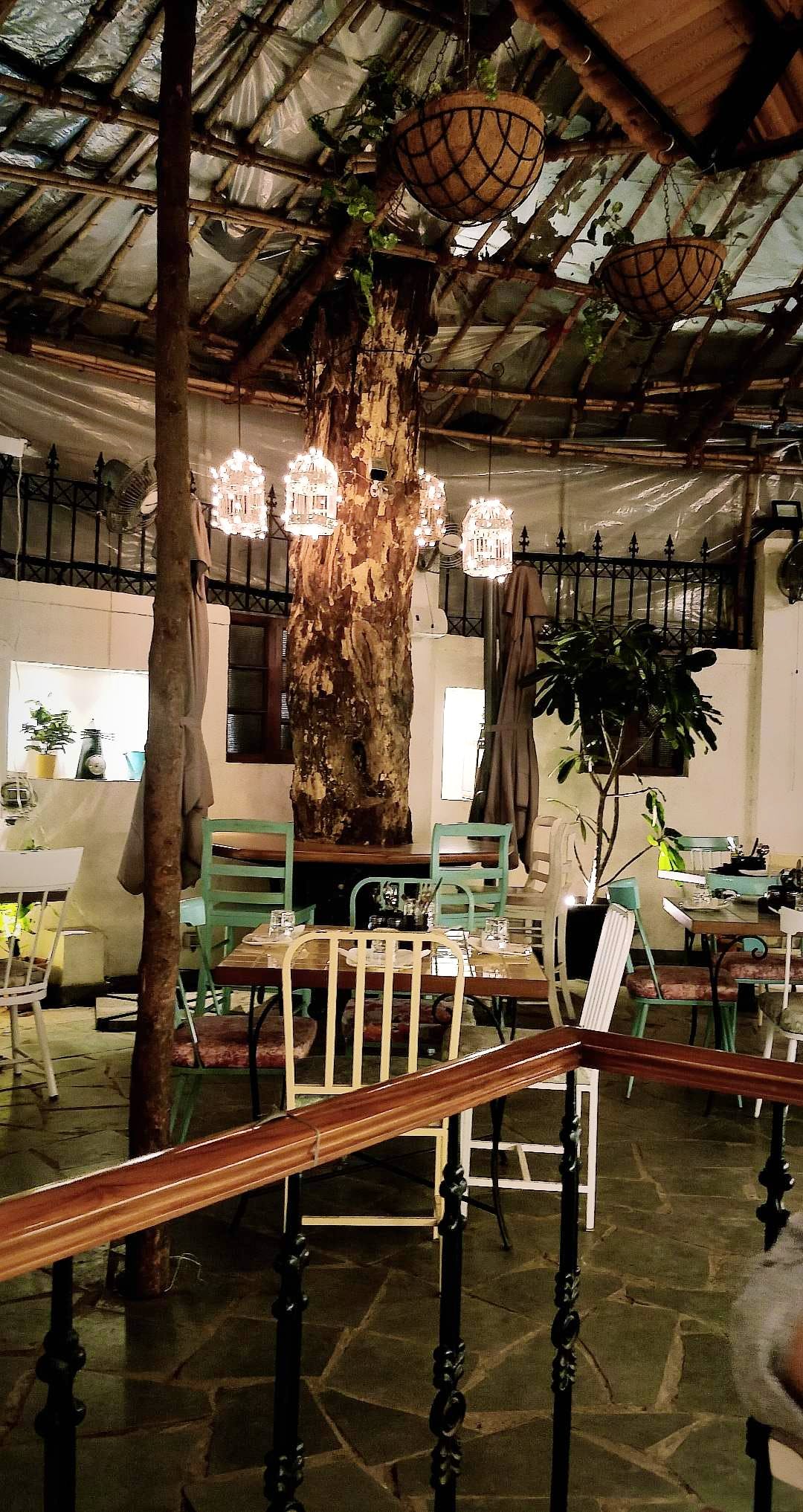 Furniture,Table,Room,Building,Interior design,Tree,Chair,Branch,Architecture,Chandelier