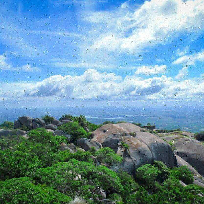 Sky,Natural landscape,Nature,Vegetation,Cloud,Rock,Wilderness,Nature reserve,Mountain,Tree