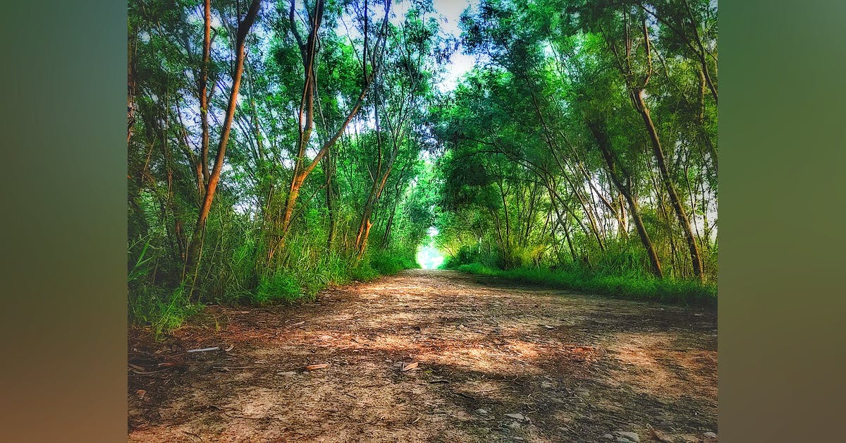 Northern Ridge | LBB