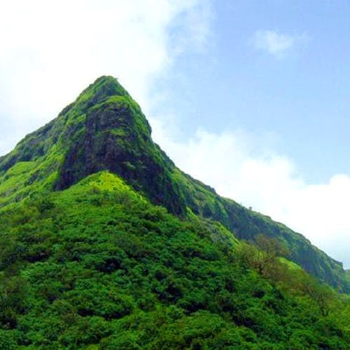 Mountainous landforms,Highland,Hill station,Vegetation,Mountain,Hill,Nature,Natural landscape,Nature reserve,Mount scenery