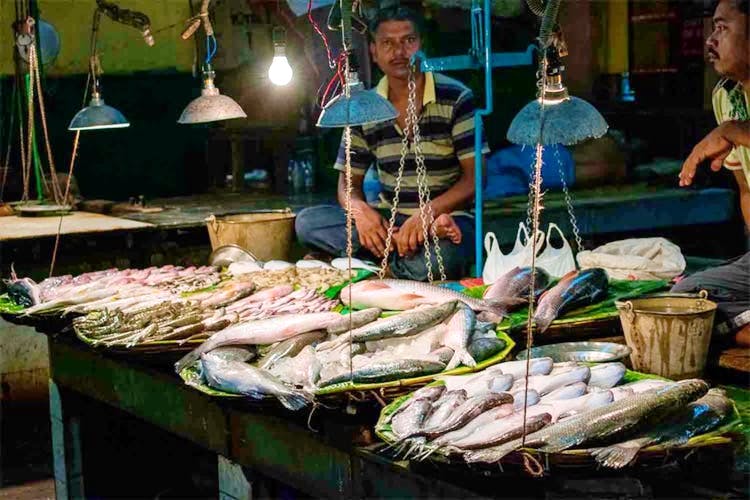 Fishmonger,Fish products,Fish,Seafood,Salted fish,Selling,Fish,Market