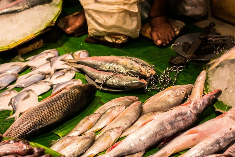 Fish,Fish products,Seafood,Oily fish,Fish,Food,Stockfish,Cuisine,Market,Mackerel