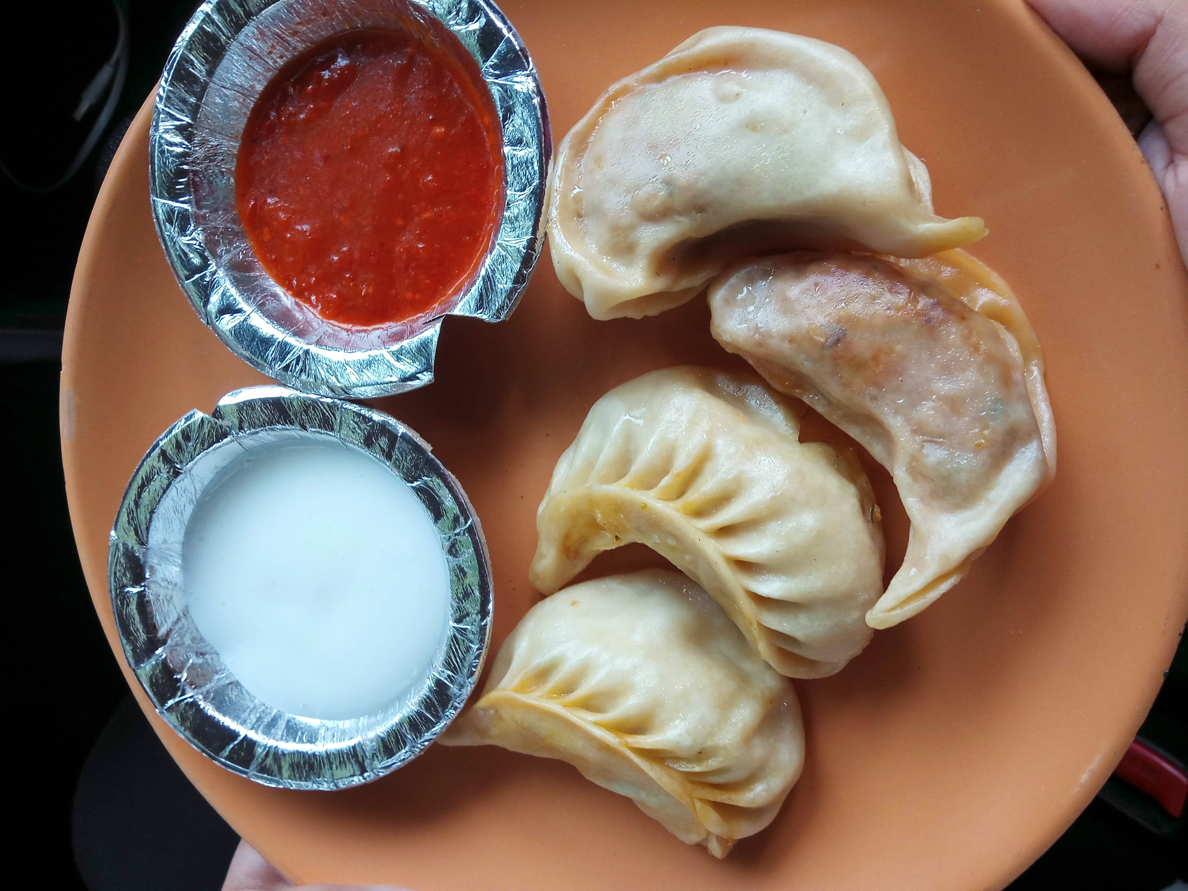 Dish,Food,Cuisine,Ingredient,Momo,Khuushuur,Kreplach,Empanada,Varenyky,Mongolian food