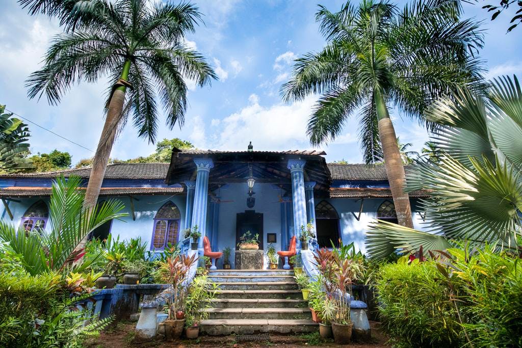 Tree,Palm tree,Property,House,Sky,Building,Architecture,Majorelle blue,Arecales,Botany