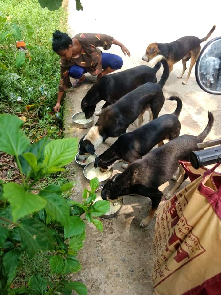Animal Welfare Centres For VolunteersI LBB, Kolkata