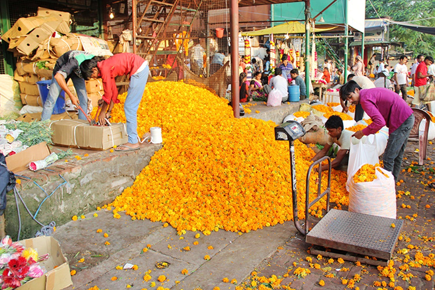 Selling,Marketplace,Public space,Yellow,Market,Bazaar,Plant,Temple,Flower