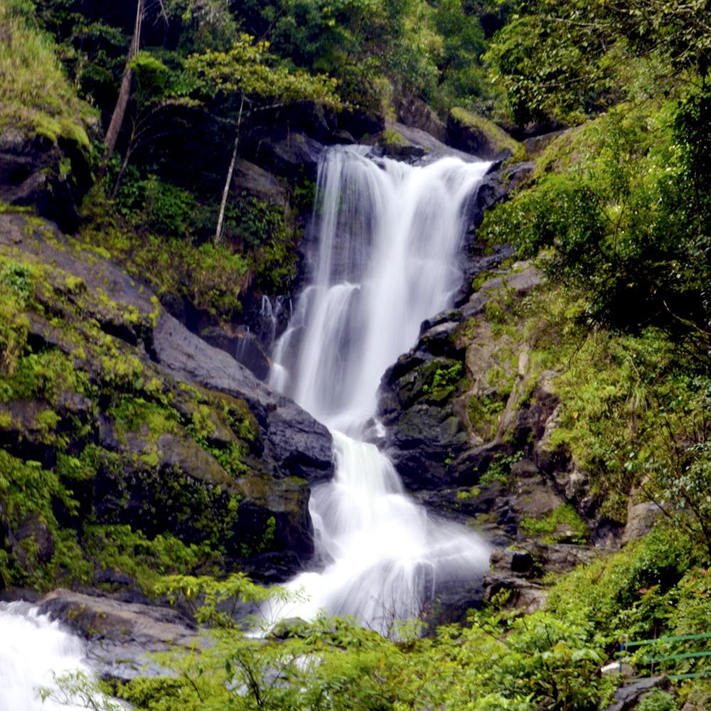 Waterfall,Water resources,Body of water,Natural landscape,Water,Nature,Watercourse,Stream,Nature reserve,Vegetation