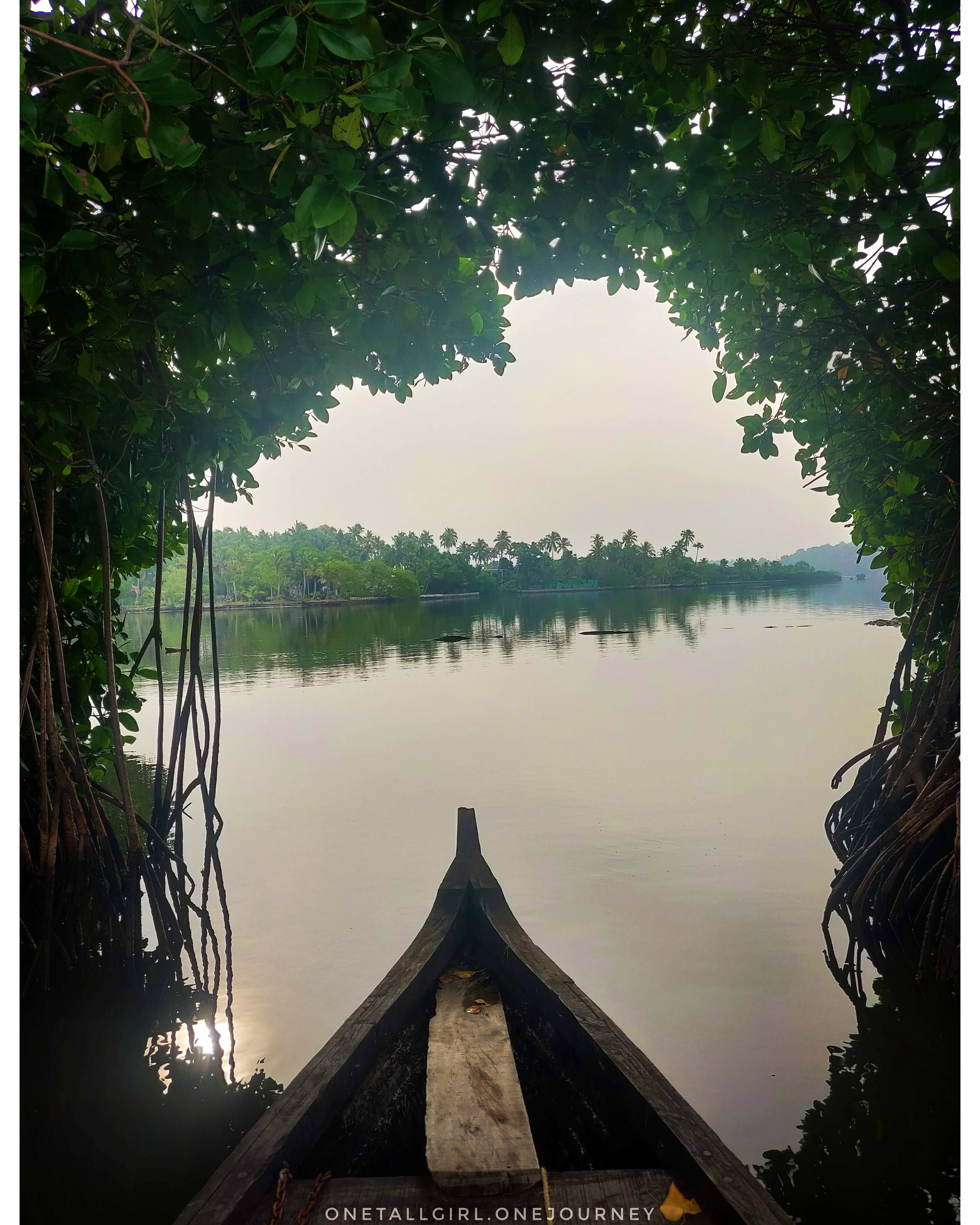 Sky,Water,Nature,Tree,Reflection,Atmospheric phenomenon,Natural landscape,Cloud,River,Morning