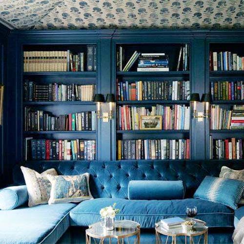 Bookcase,Living room,Shelving,Furniture,Shelf,Room,Couch,Wall,Interior design,Blue